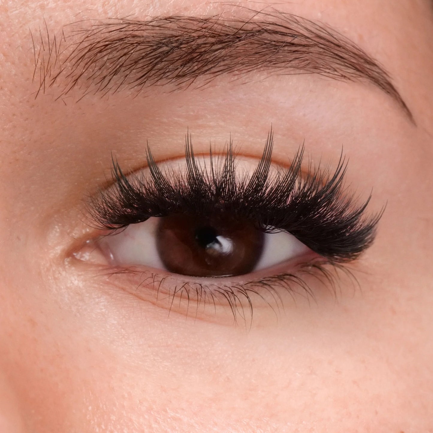 Anime Tower Spike - 0.05 Contour Laser Print Lashes